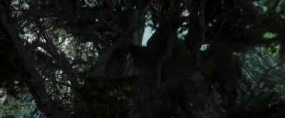 Watch out! - Pete's Dragon