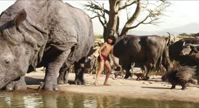 Watch yourself pleaseDad what is thatI think that's a man cubWhat's a man cub doing here - The Jungle Book
