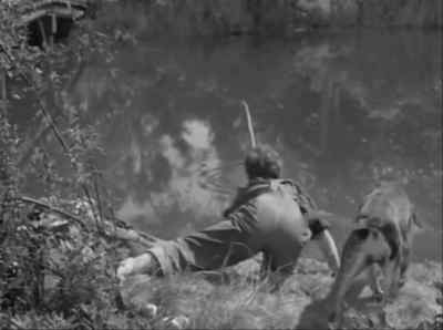 Watch your pole, boy! - Stars in My Crown