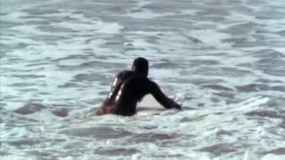 Watch Robert trying
to be tactful here. - The Endless Summer