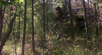 Watch the trees. - Swamp Thing