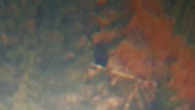  Watch this. - Expedition Bigfoot