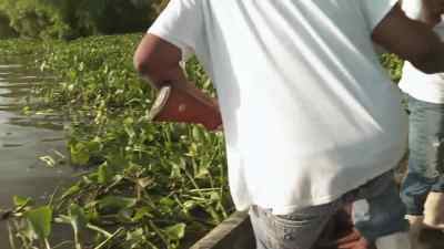 Watch yourself,
watch yourself. - Swamp People