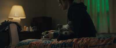 ♪ Watched the beard crawl around
on your face ♪ - A Dog's Journey