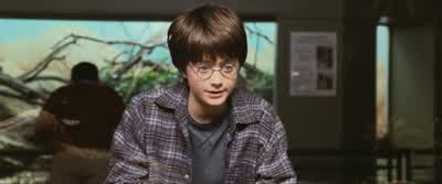 ...watching people press their ugly faces in on you. - Harry Potter and the Philosopher's Stone