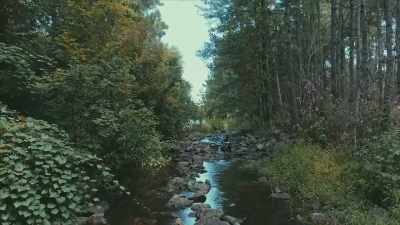 [water babbles] - Population Purge