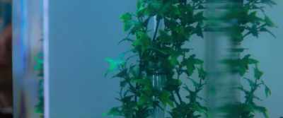 -[water bubbling]
-[motor droning] - Bank of Dave