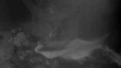 (Water bubbling) - The Horror of Party Beach