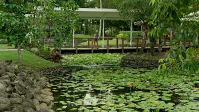 [water bubbling] - Retreat to Paradise