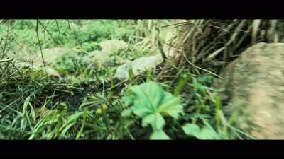 Water. Cold water. - Perfume: The Story of a Murderer