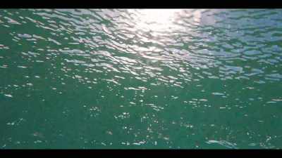 [water gurgling] - Leopard Skin