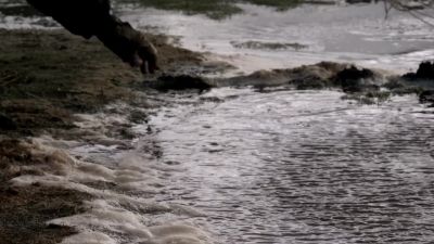 Water! Help!
Help me! Water. - Death Race: Inferno