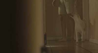 (Water hissing) (Clattering) - Haunted Valley
