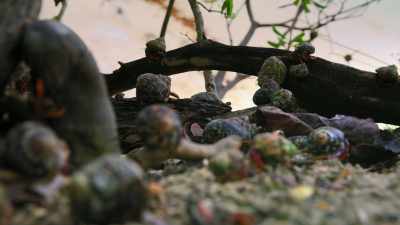 [water lapping] - Tiny World