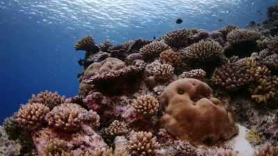 Water is quite a fragile
resource really because the - Protecting Paradise: The Story of Niue