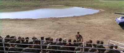 Water and rough terrain can stop
an ordinary M1 or APC... - Sgt  Bilko