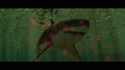(water rumbles) - Bull Shark 3