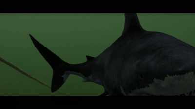 (water rumbles) - Bull Shark 3