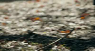 - (water rushing)
- (birds chirping) - Deep Water
