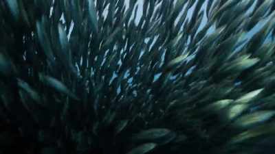 [water rushing] - Our Planet