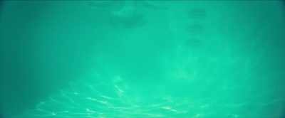 [water splashes] - Poolman