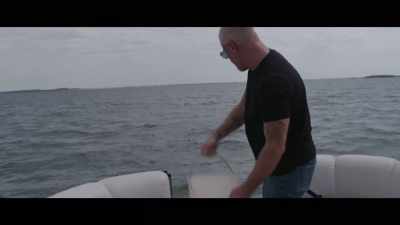 (water splashes) - Bull Shark 3