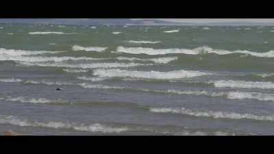 (water splashes) - Bull Shark 3