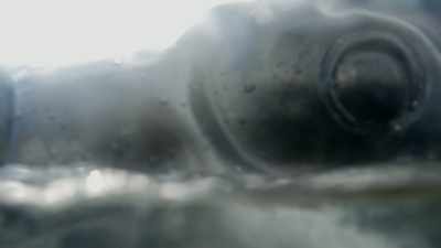 [water splashes] - Jurassic Shark 2: Aquapocalypse