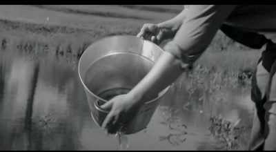(water splashing)
(gentle music continues) - The Lonely Man with the Ghost Machine