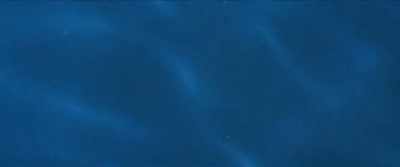(water splashing gently)
(crickets chirping) - Close Calls