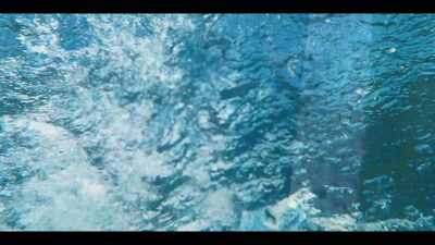[Water splashing] - Leopard Skin