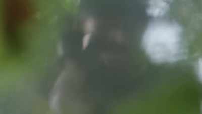  [water splashing] - Sister Boniface Mysteries