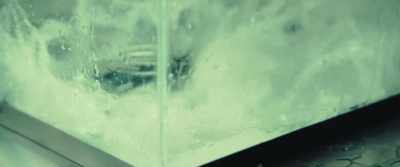 [water splashing] - Citizen Bio