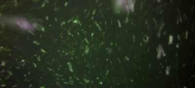 (water splashing) - Nuclear