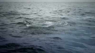 [water splashing] - Deadliest Catch: Bloodline