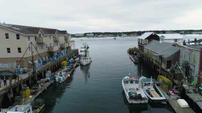 (water whooshing) (boat
horn blowing) (bell ringing) - Sharkula