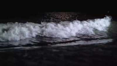 (water whooshing) (dramatic
vocalization continues) - Sharkula