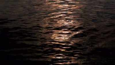 (water whooshing)
(gentle music) - Sharkula
