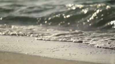 (water whooshing) - Sharkula