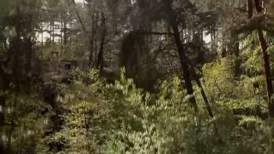 Watson:
This forest was so dense, - Secret Nazi Ruins