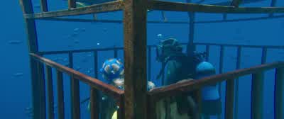 Wave to the camera. - 47 Meters Down