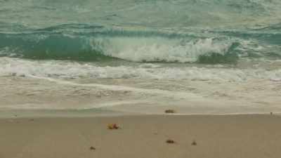 (waves breaking) - How to Frame a Family