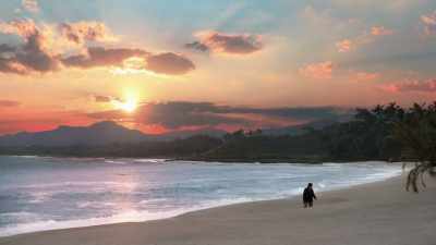 (waves crashing). - Cosmos: Possible Worlds