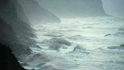 [ Waves crashing ] - Attenborough and the Sea Dragon