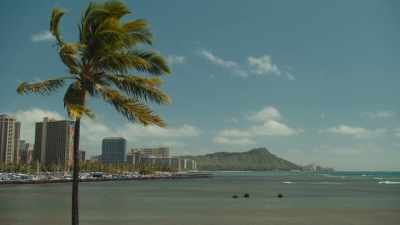 (waves crashing) - Doogie Kamealoha, M.D.