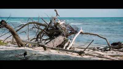 (waves lapping) - Castaways
