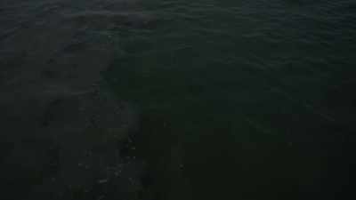 (waves lapping) - We Are Who We Are