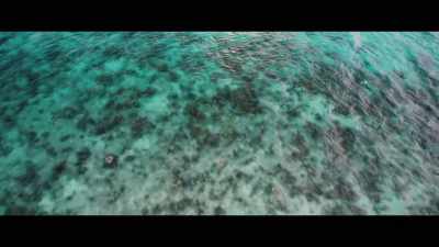 (waves lapping)
(soft melodic music) - Castaways
