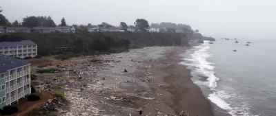 (waves splashing)
(seagulls squawking) - Bad Fish