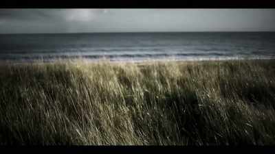 (waves washing ashore) - The Third Day